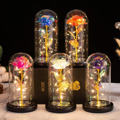 Beauty and The Beast Preserved Roses In Glass with LED Light - homesweetroses