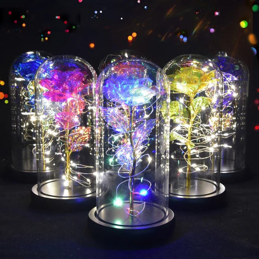 Beauty and The Beast Preserved Roses In Glass with LED Light - homesweetroses