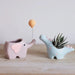 Dinosaur - Shaped Flower Pot For Home Decoration - homesweetroses