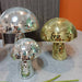 Disco Mushrooms Bedroom Decoration - homesweetroses