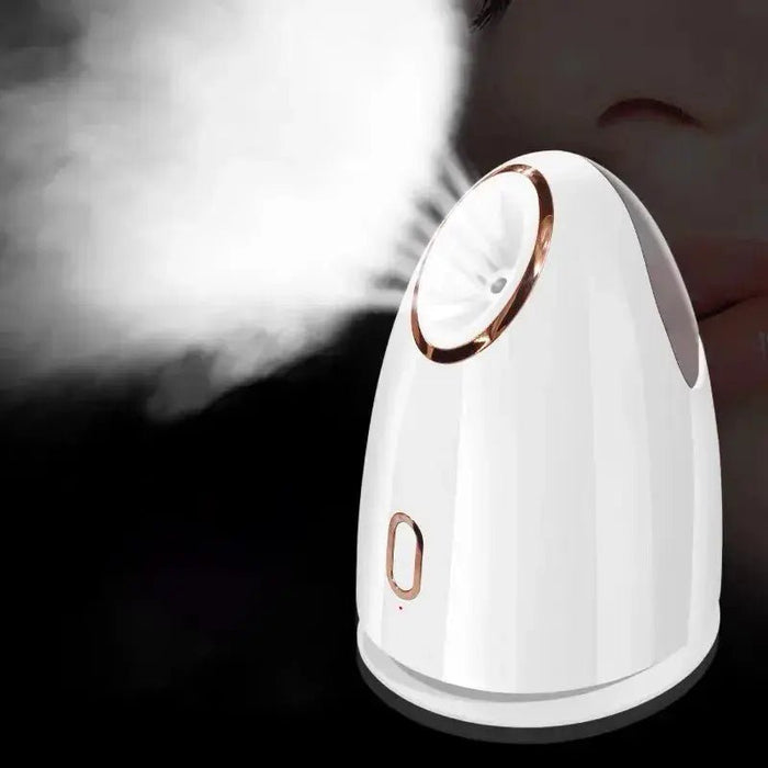 Home Portable Hot Spray Face Steamer - homesweetroses