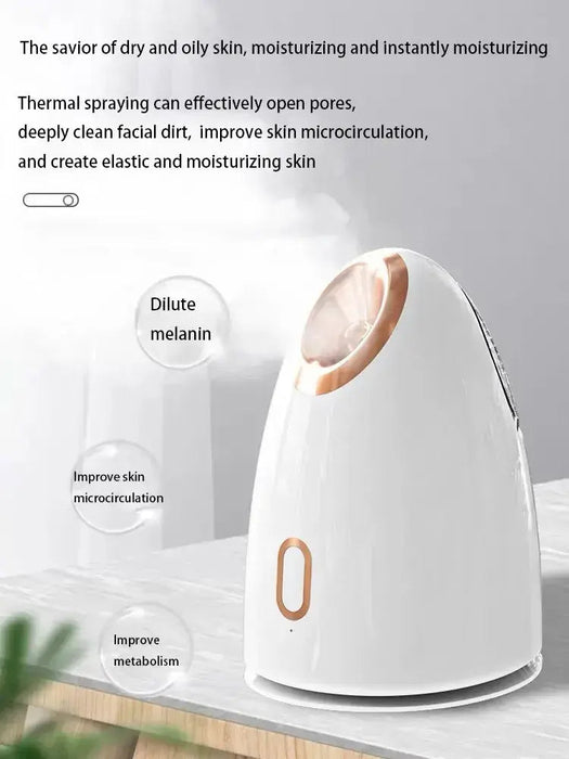 Home Portable Hot Spray Face Steamer - homesweetroses