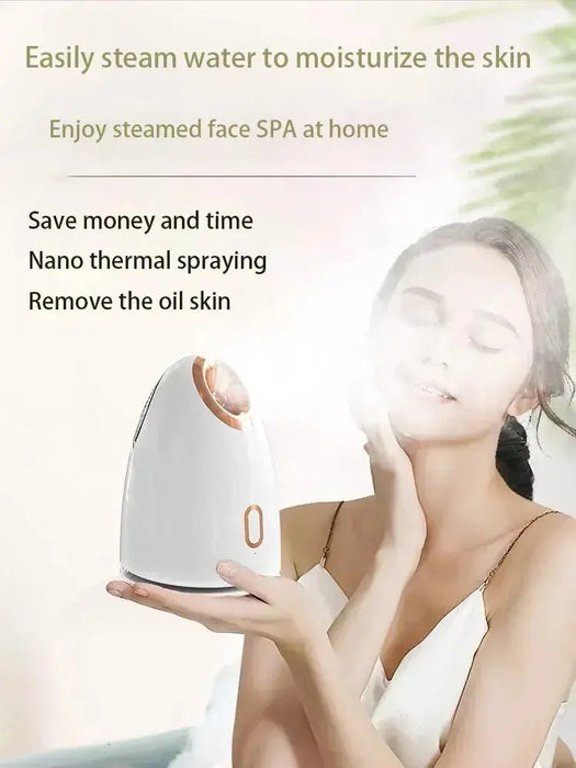 Home Portable Hot Spray Face Steamer - homesweetroses