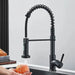 Pull - Out Kitchen Faucet - homesweetroses