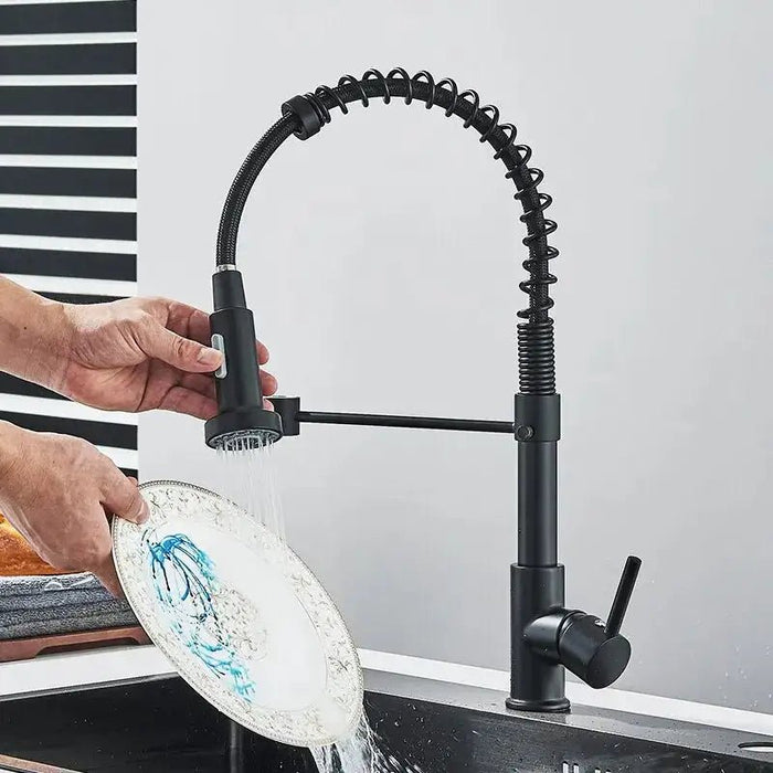 Pull - Out Kitchen Faucet - homesweetroses