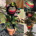 Realistic Piranha Plant Halloween Garden Decor - homesweetroses